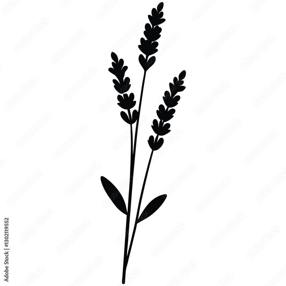 Realistic Lavender Plant Vector | Editable & Scalable Design Realistic Lavender Plant Vector | Editable & Scalable Design