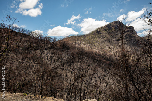 Bushfire damage from the 2025 bushfires started by lightning strikes  in the Grampians (Gariwerd) National Park.