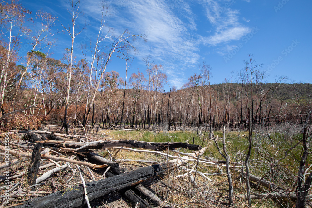 Bushfire damage from the 2025 bushfires started by lightning strikes in the Grampians (Gariwerd) National Park. Bushfire damage from the 2025 bushfires started by lightning strikes in the Grampians (Gariwerd) National Park.