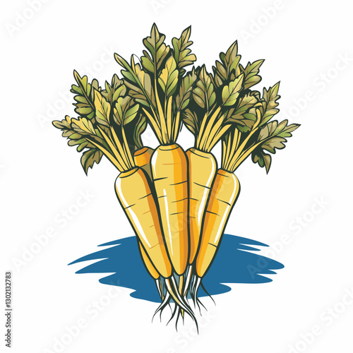 Yellow carrots with green tops on a white background