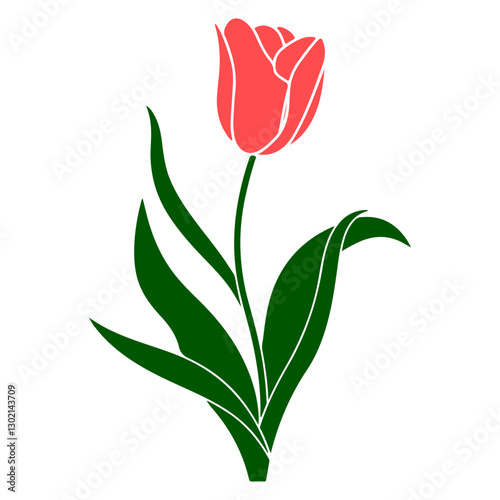 A vector illustration of a tulip flower on a white background