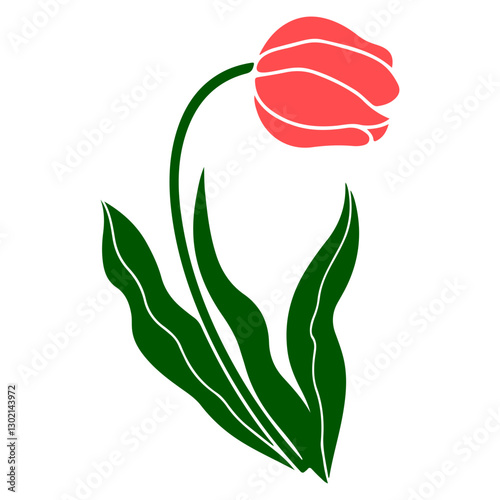 A vector illustration of a tulip flower on a white background
