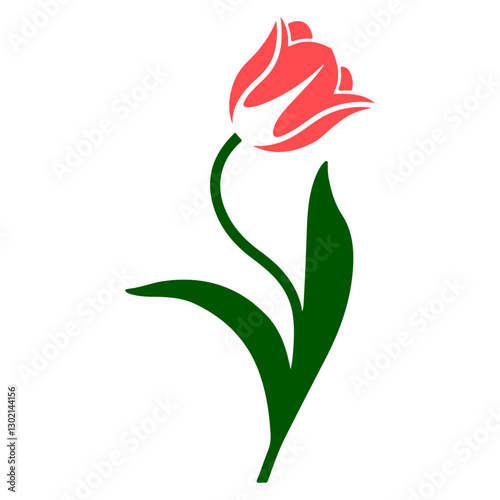 A vector illustration of a tulip flower on a white background