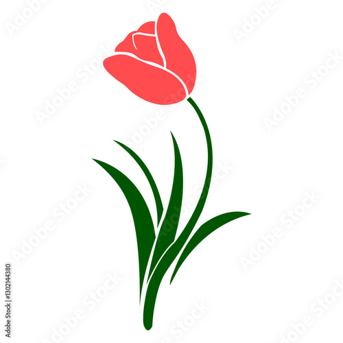 A vector illustration of a tulip flower on a white background