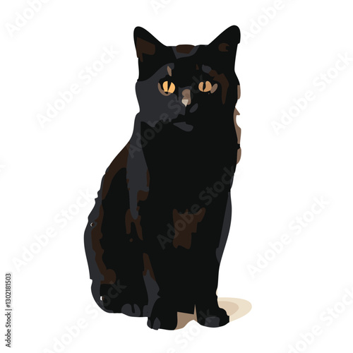 Black Cat Sitting in white background