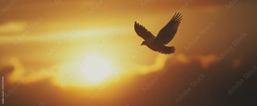 Fototapeta premium flying bird against a beautiful sunset sky background