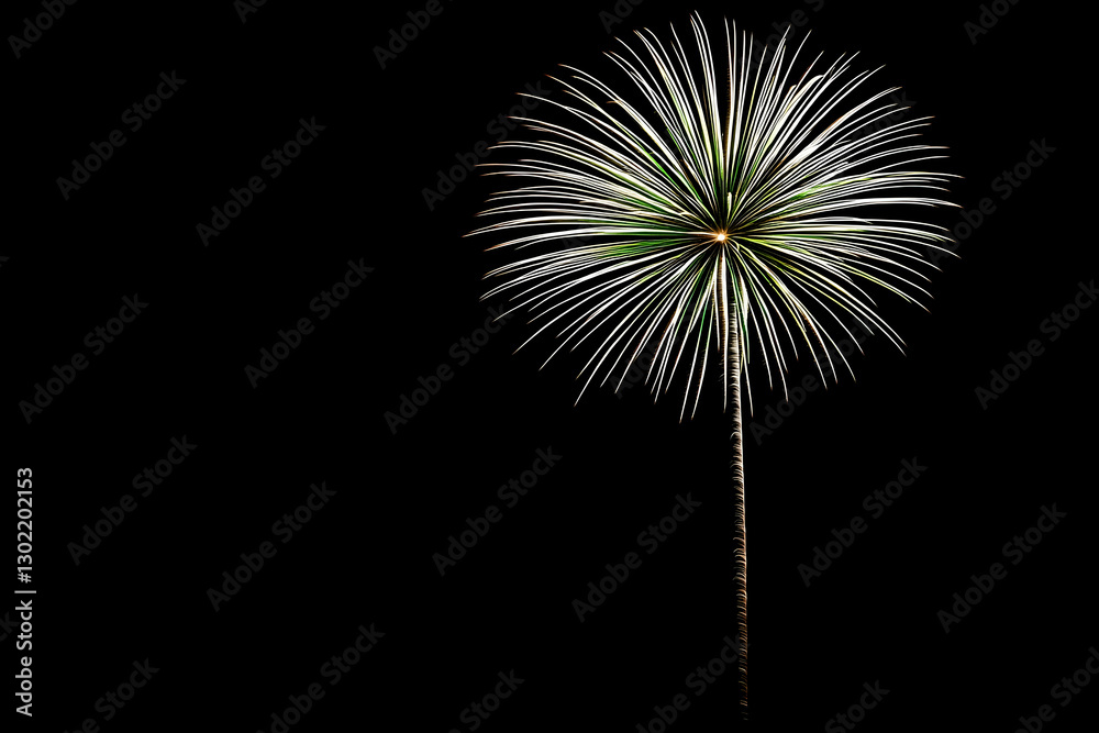 Ethereal bursts of celebratory fireworks against the backdrop of the night sky Ethereal bursts of celebratory fireworks against the backdrop of the night sky