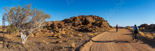 Shepherd tree or shepherd's tree (Boscia albitrunca) and mountain bikers at Augrabies Falls National Park, Northern Cape. South Africa. photo