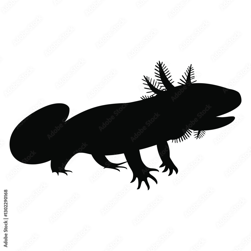 Fototapeta premium Axolotl Silhouette, vector, logo, white background.