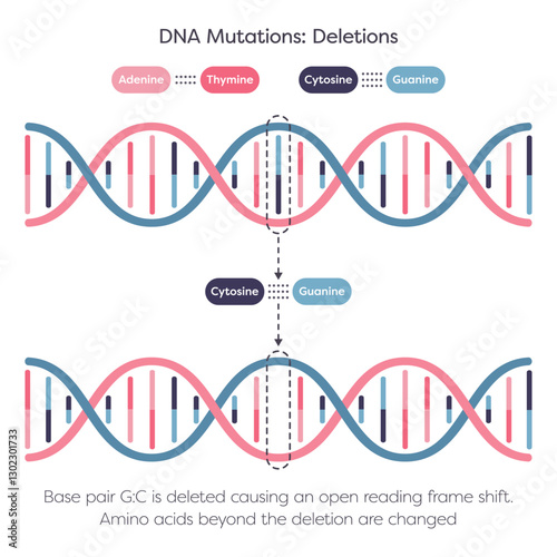 DNA deletion point mutation science illustration graphic