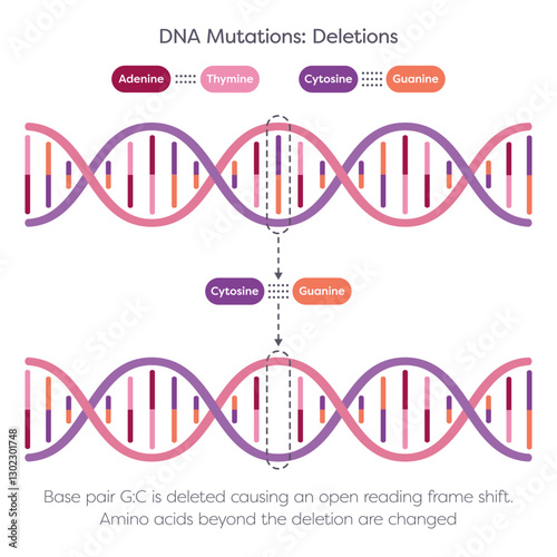 DNA deletion point mutation science illustration graphic