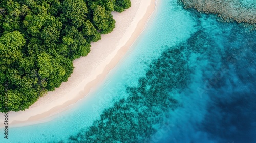 Aerial View of Serene Beach with Lush Green Trees and Crystal Clear Water