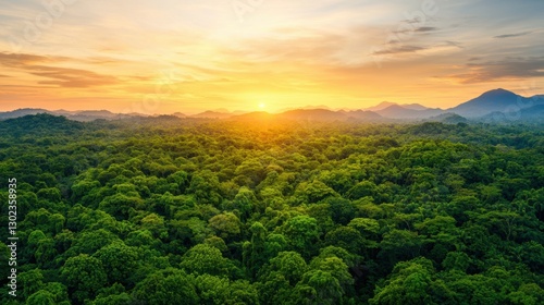 Aerial view of a dense rainforest canopy at sunset. The sun is setting over the mountains in the distance.