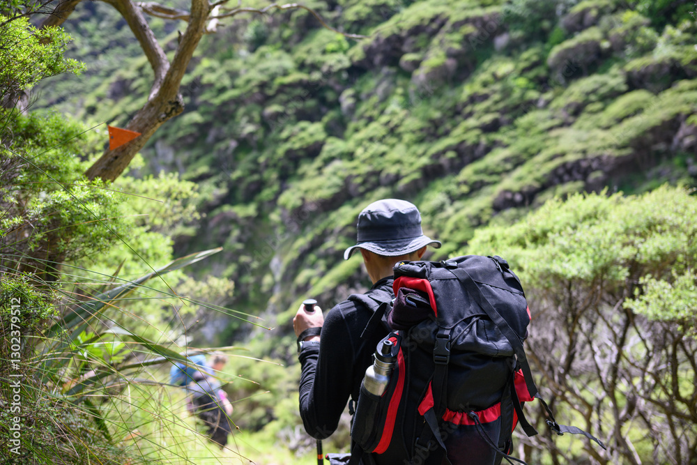 Backpacker hiking Cape Brett Walkway. Unrecognizable hikers in the distance. Bay of Islands.