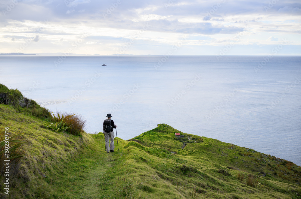 Backpacker hiking Cape Brett Walkway. Bay of Islands. New Zealand.