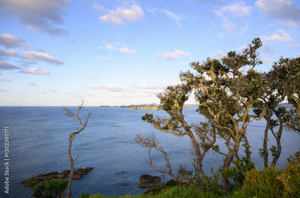 Pohutukawa trees at Tapeka Point. Russell. Bay of Islands. New Zealand.