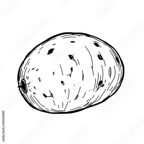 Potato