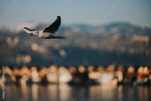 Seagull Flying Over Scenic Landscape