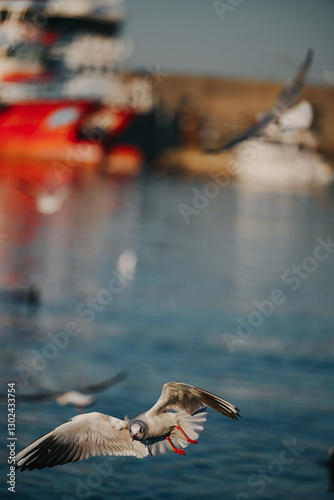 Seagull Flying Over Scenic Landscape
