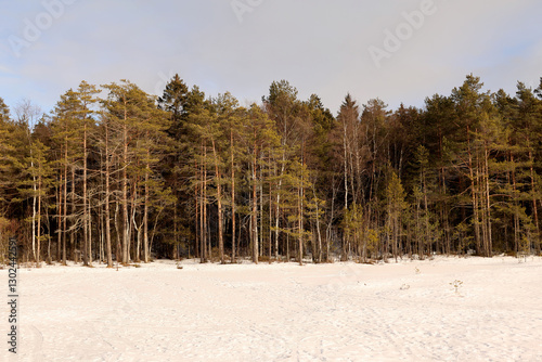Obraz na płótnie Winter