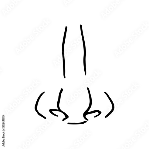 close up full face view of nose with a small hump - hand drawn line art