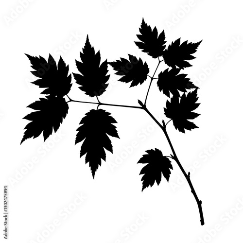 Wallpaper Mural Silhouette of Foliage Branch: A striking silhouette of a branch adorned with multiple leaves, meticulously captured, evoking a sense of elegance and minimalism. Torontodigital.ca