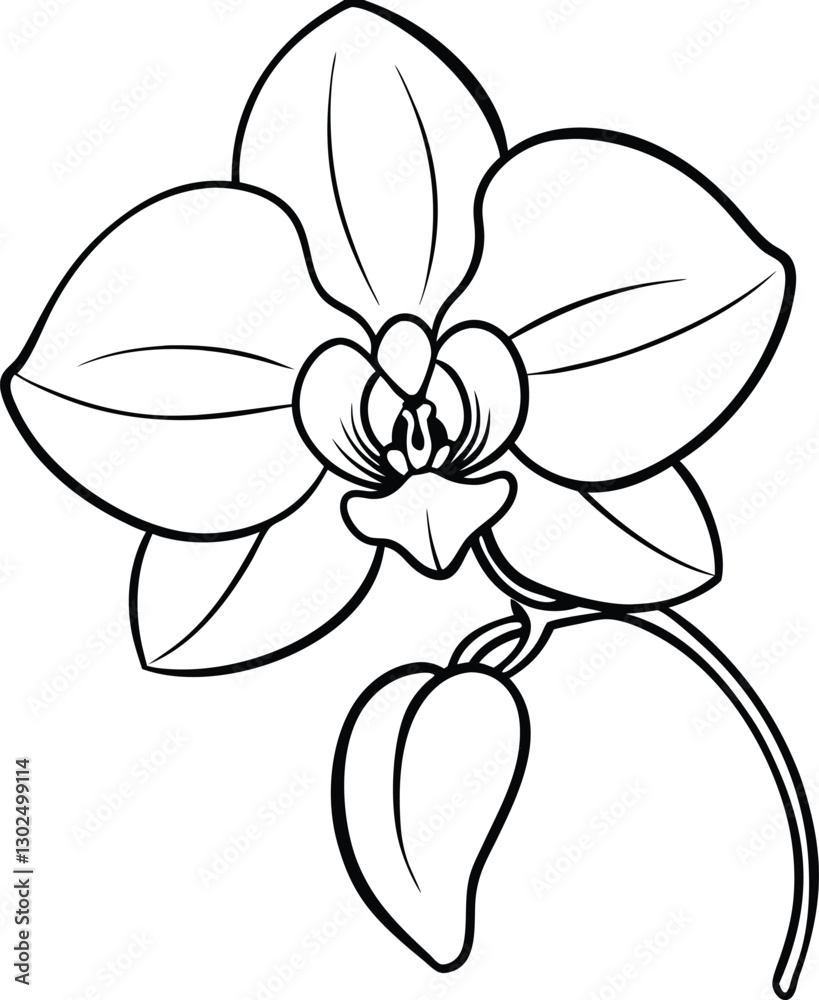 Elegant Orchid Line Art Vector - A Stunning Floral Design for Artistic and Minimalist Creations Elegant Orchid Line Art Vector - A Stunning Floral Design for Artistic and Minimalist Creations