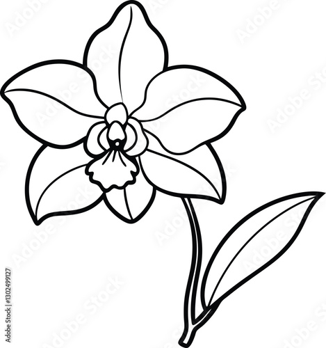 Elegant Orchid Line Art Vector - A Stunning Floral Design for Artistic and Minimalist Creations