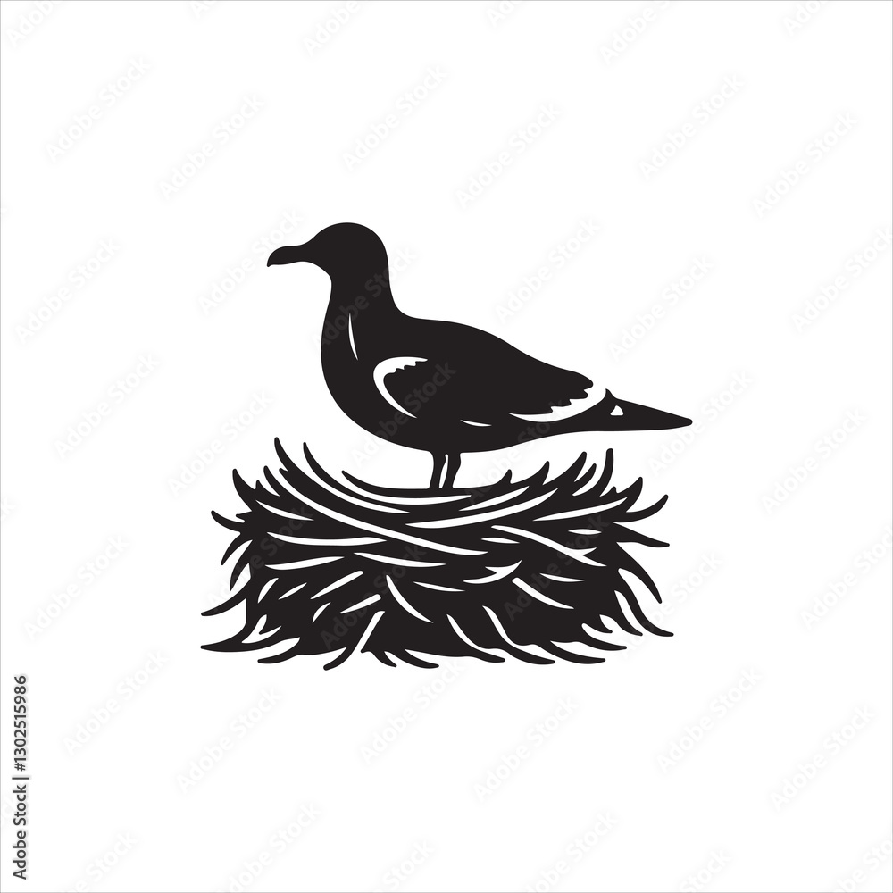 Fototapeta premium dove on white background