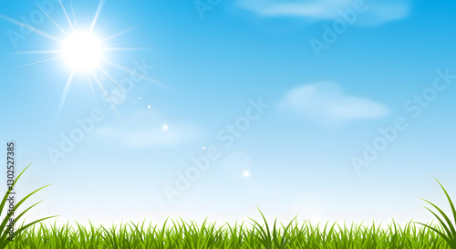 Sunny Sky and Green Grass Landscape