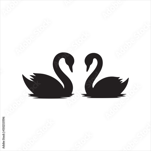 duck swans on the water