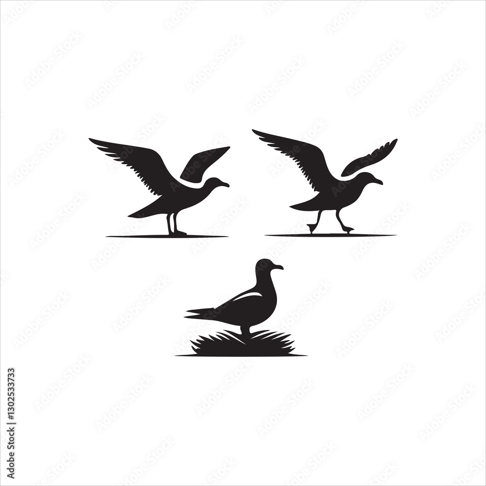 Obraz premium set of silhouettes of birds