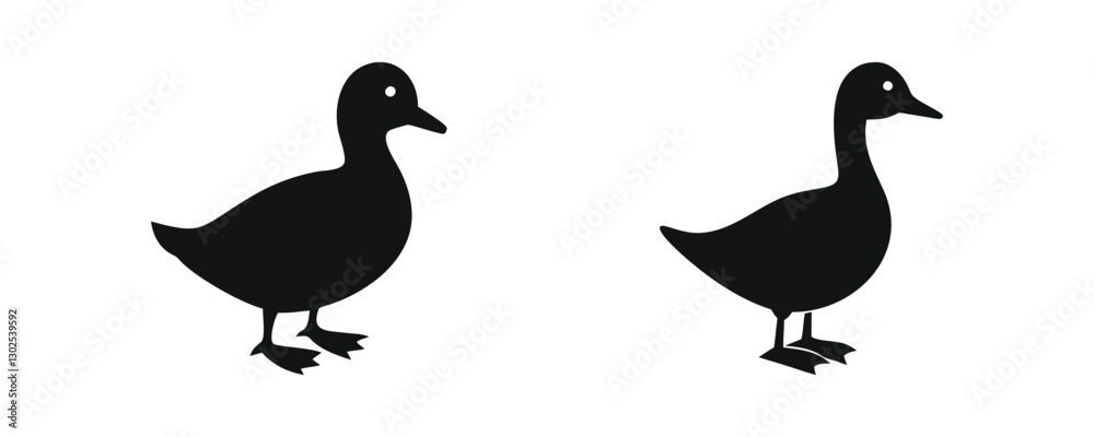 Fototapeta premium Duck Black Silhouette on white Background