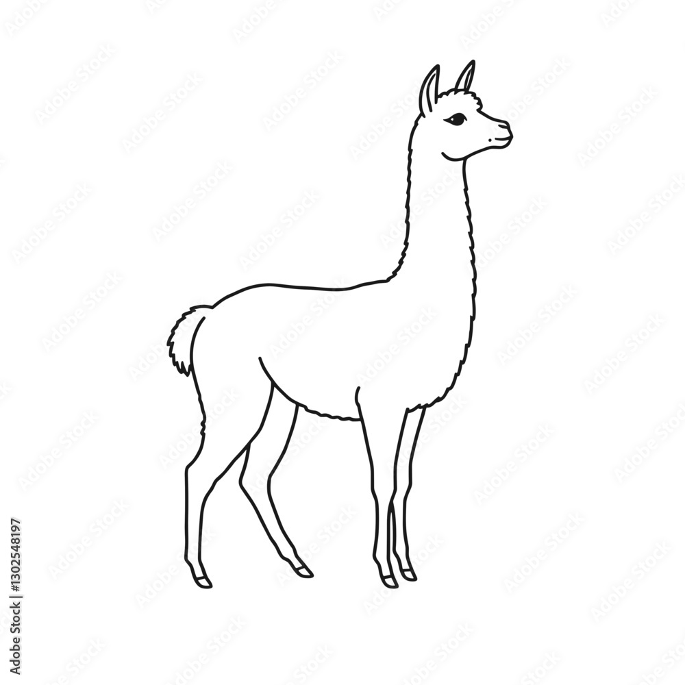 Sketch of a graceful llama standing proudly against a clean white background with copy space Sketch of a graceful llama standing proudly against a clean white background with copy space