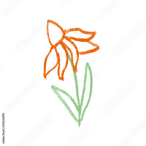 Echinacea flower crayon drawn. Spring plant doodle isolated on white background. Summer floral kids element. Chalk or pastel style childish scrawl wildflower shape. Vector naive illustration by pencil