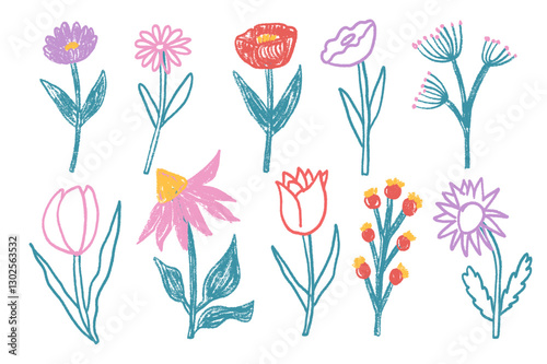 Flowers crayon drawn set. Spring tulip, daisy, aster and marguerite plants doodle set. Pastel childish floral shape. Vector pencil illustration isolated on white background.