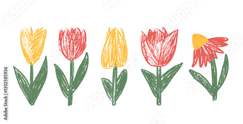 Tulip flowers crayon drawn set. Spring crocus plants doodle. Summer floral kids elements. Chalk or pastel style childish shape. Vector naive pencil illustration isolated on white background.
