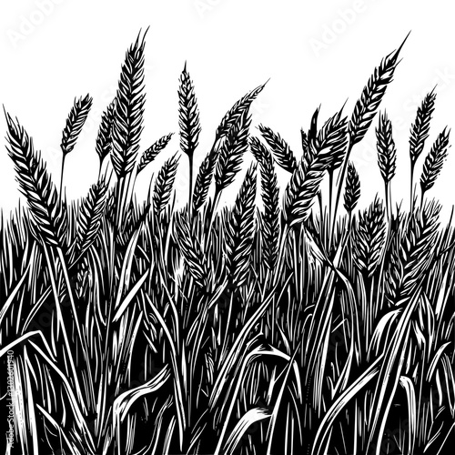 Engraved illustration of wheat field with tall stalks swaying in the breeze during a sunny day