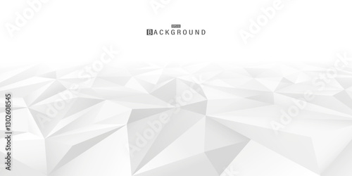 Abstract background with perspective. Creative 3d surface with white and gray geometric polygon shapes. Business corporate design. Poster, banner, presentation template