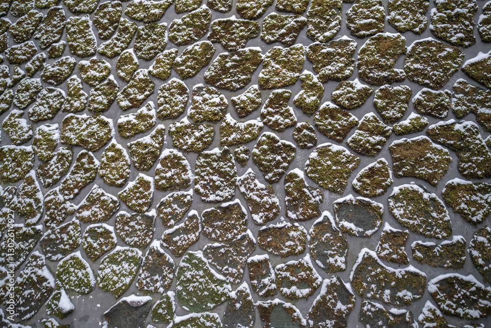 Moss on the wall with snow