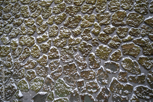 Obraz na płótnie Moss on the wall with snow w salonie