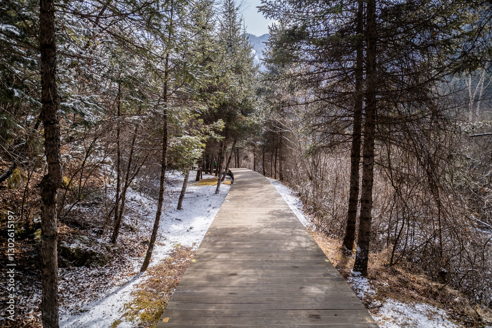 Path in winter forest, Jiuzhaigou in China