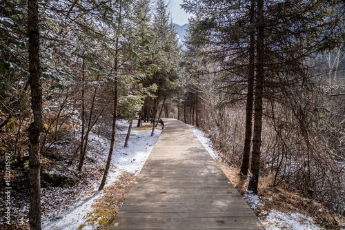 Obraz na płótnie Path in winter forest, Jiuzhaigou in China w salonie