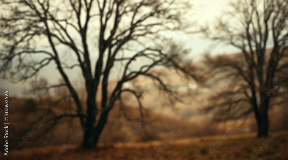 Blurred background of a field with bare trees and distant hills under a cloudy sky, creating a moody and atmospheric scene. Blurred background of a field with bare trees and distant hills under a cloudy sky, creating a moody and atmospheric scene.