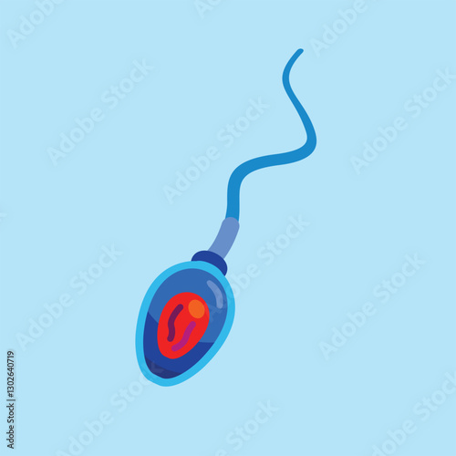 Sperm Structure and Function. illustration of sperm fertilization
