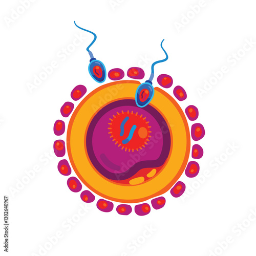 In vitro fertilization, injecting sperm into an egg. Assisted reproductive treatment