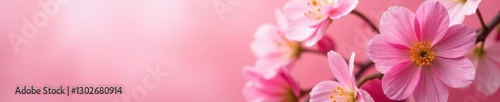 Vibrant spring bouquet, soft pink background, close-up view, image, tulips