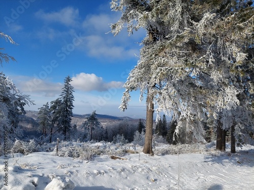 Fototapeta Naklejka Na Ścianę i Meble -  piękny krajobraz zimą w beskidach