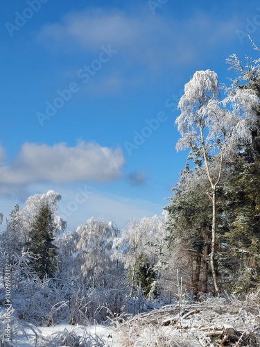 piękny krajobraz zimą w beskidach