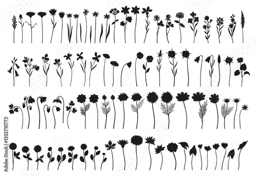 Wildflower silhouettes set, minimal style. Hand drawn diverse meadow flowers, herbs, and wild plants. Botanical elements for design projects. Vector illustration